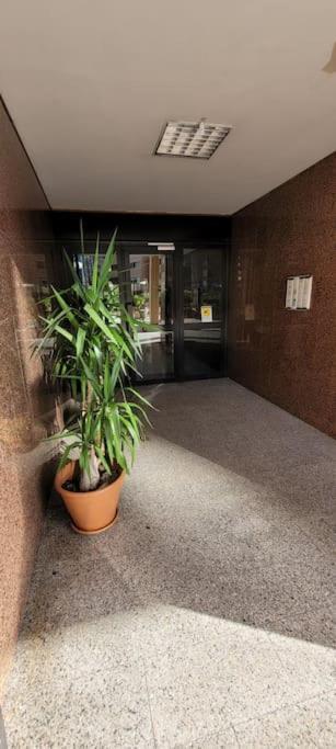 Apartment Luxury 23 *